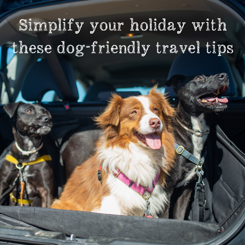 Simplify your holiday with these dog-friendly travel tips