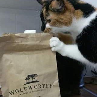 Wolfworthy Dog Food - So Good Even Cats Love it!
