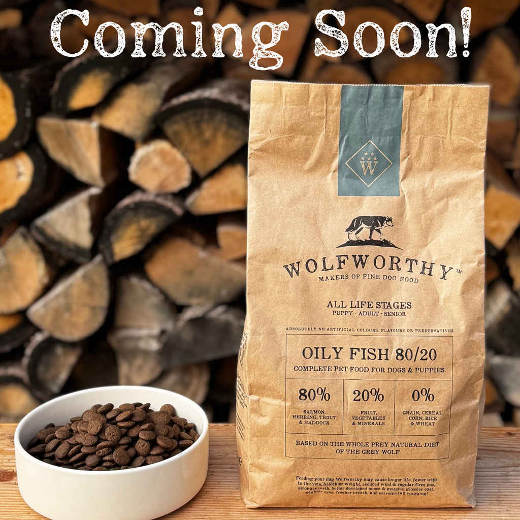 Introducing Wolfworthy Oily Fish: A New Addition to the Wolfworthy Family