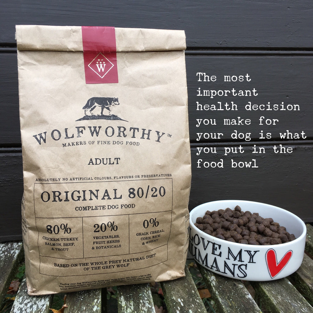 How Do Popular Dog Foods Compare with Wolfworthy?