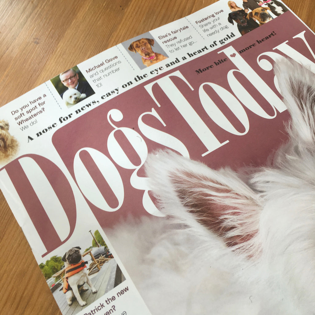 Wolfworthy is 'Six of the Best' according to Dogs Today