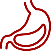 Digestion